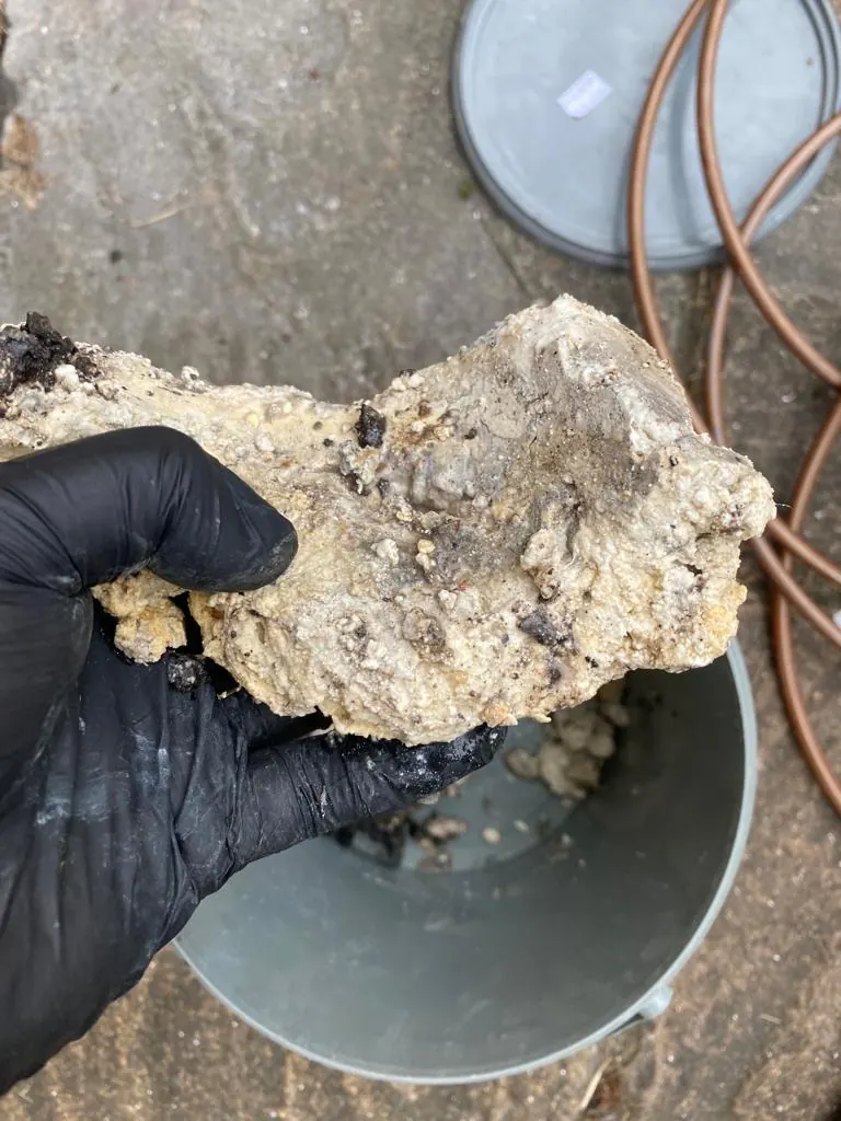 Clear, empty drain after unblocking work