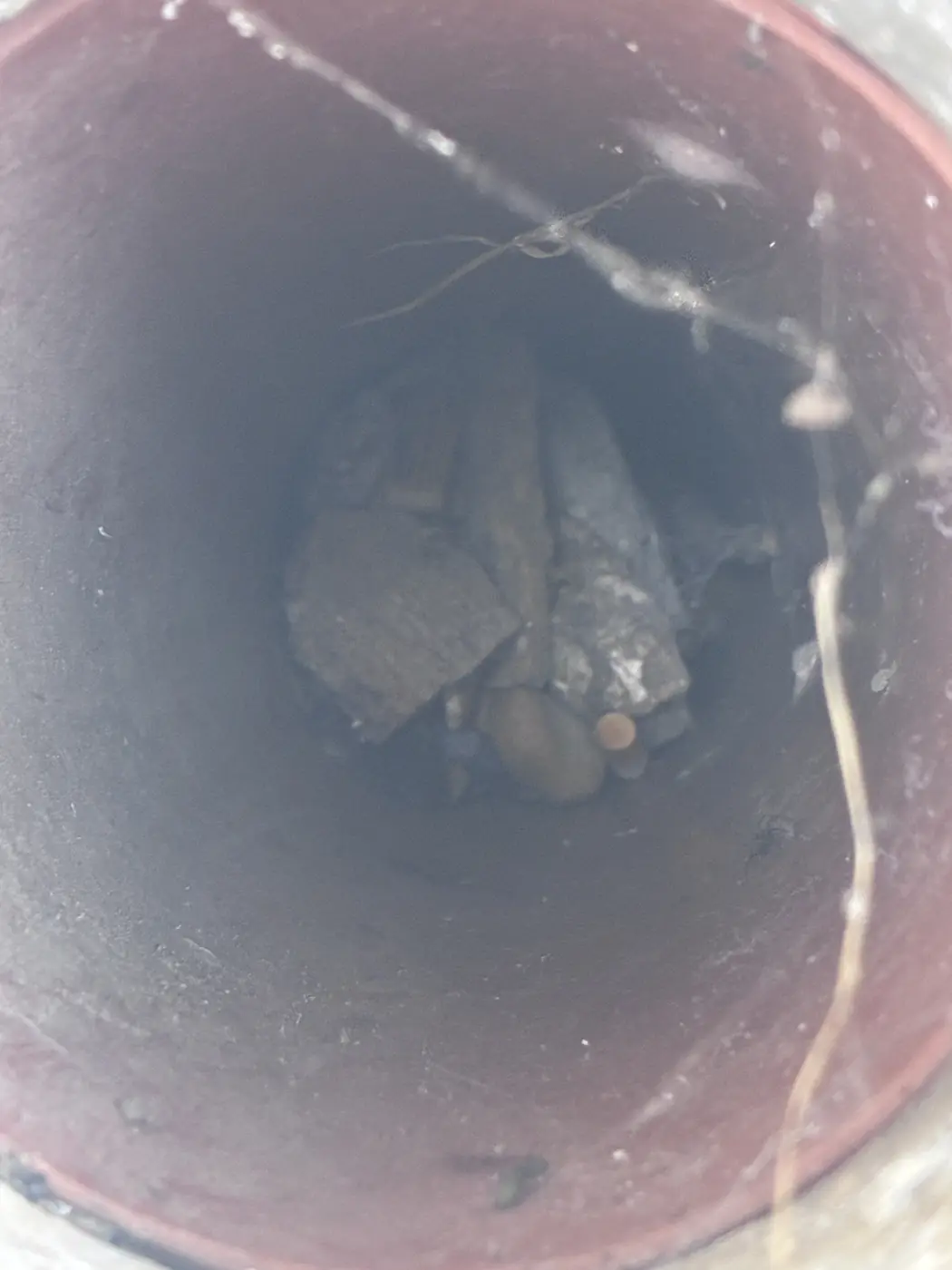 Root ingress visible within the drainage system