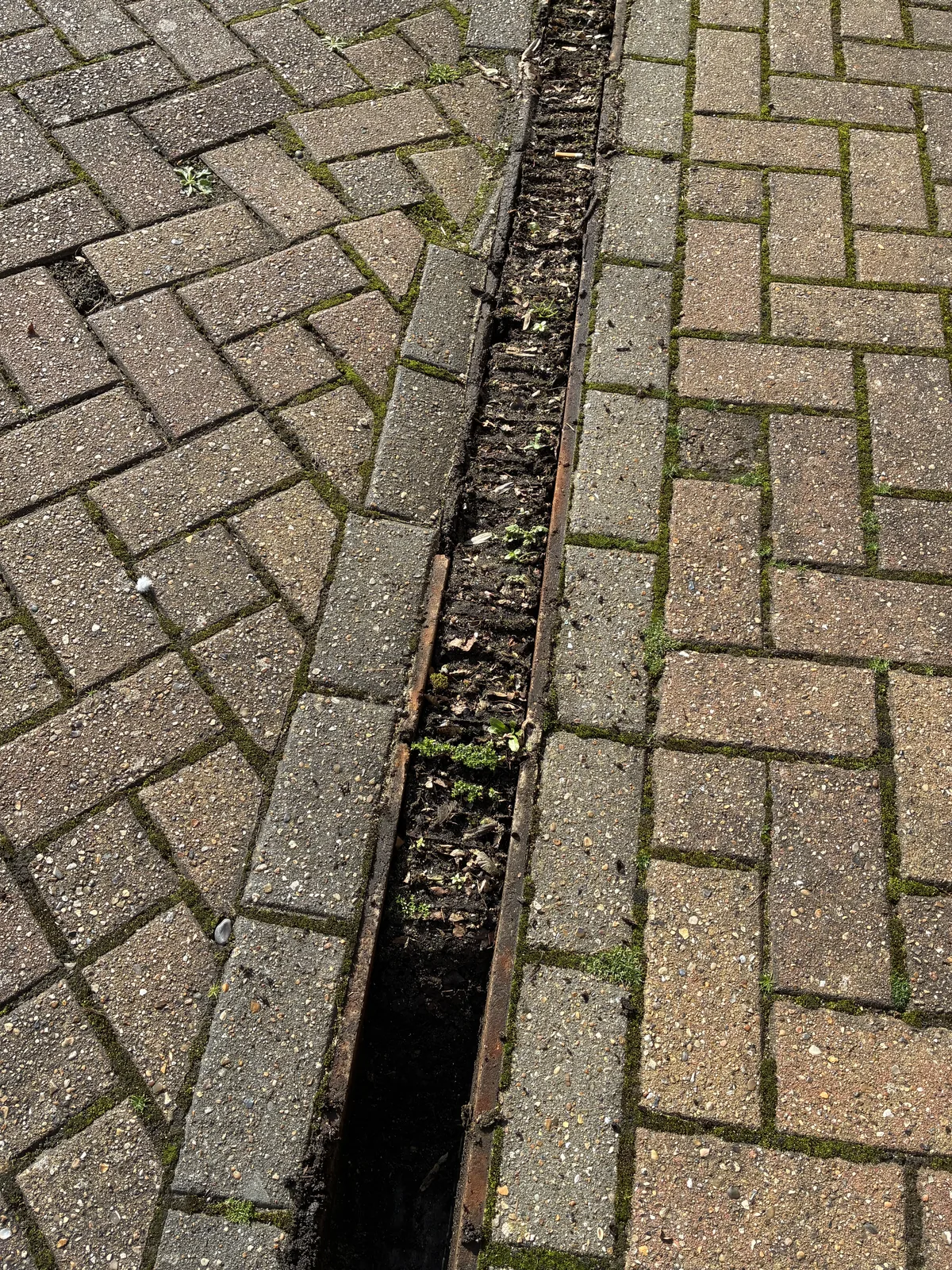 gully maintenance project photo